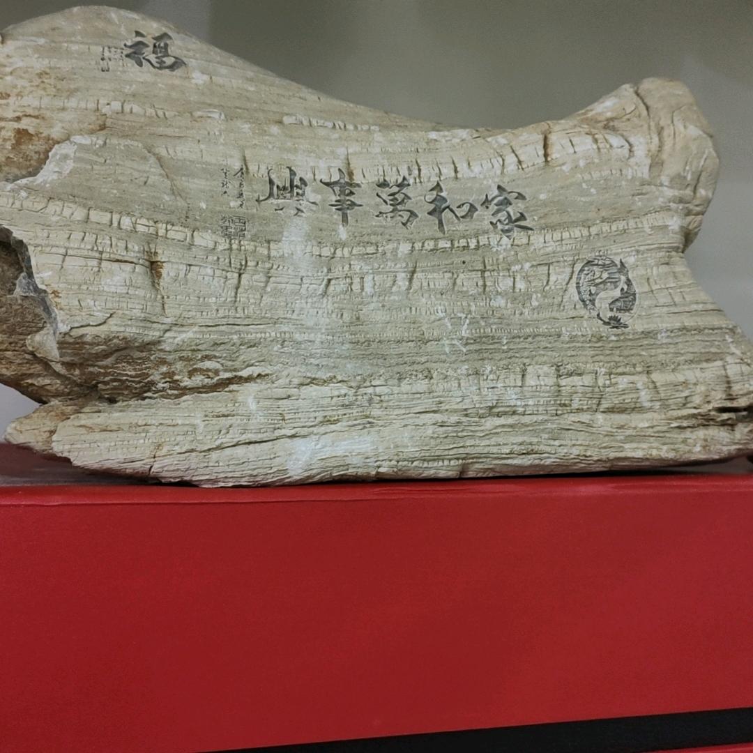 绽放的花朵