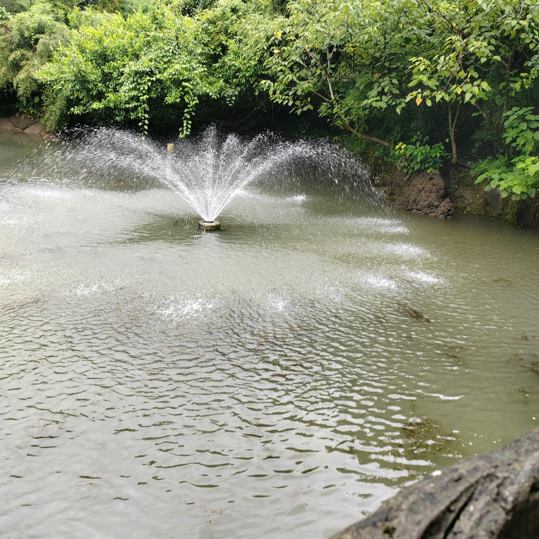 （羅幺妹）赶水手工米粉