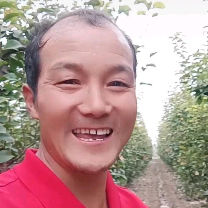 郭哥人生《橱窗好物》