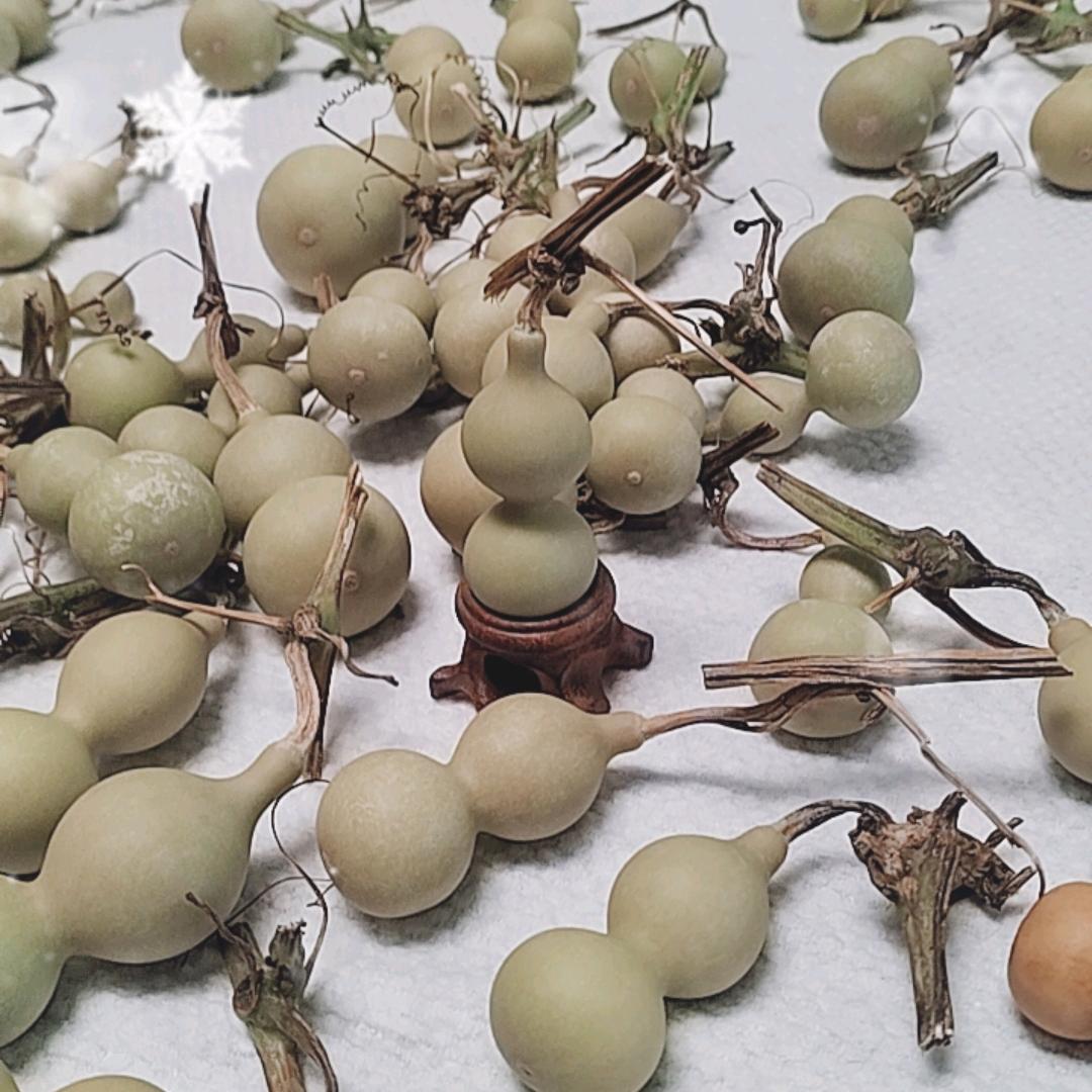 传奇传拓文创馆