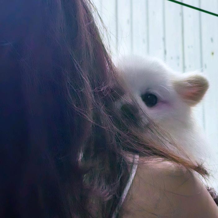 彪悍的QQ