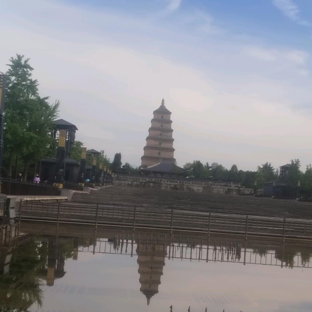 顺其自然