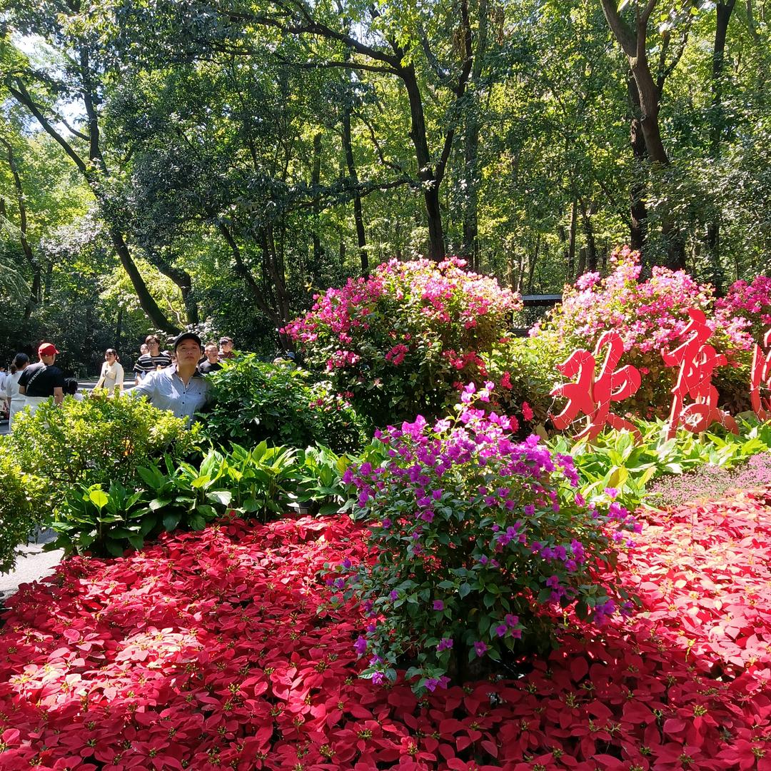顺势而为赢天下