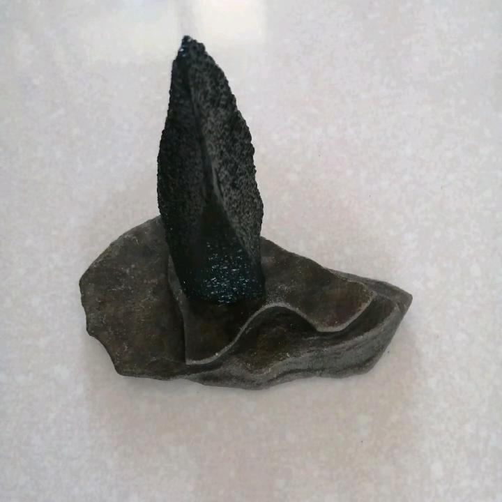 开心果
