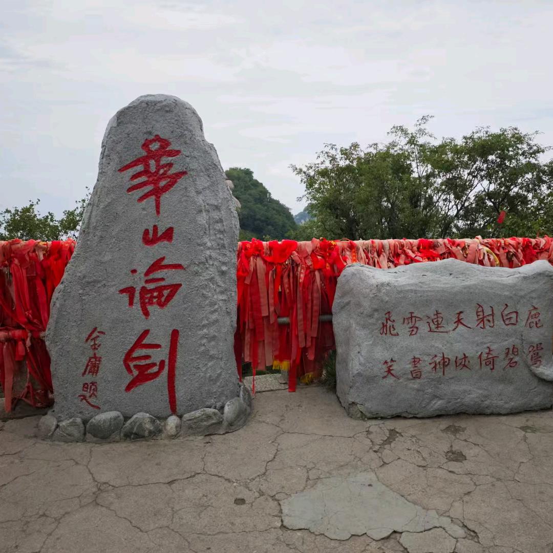 爱jiuyibeizi