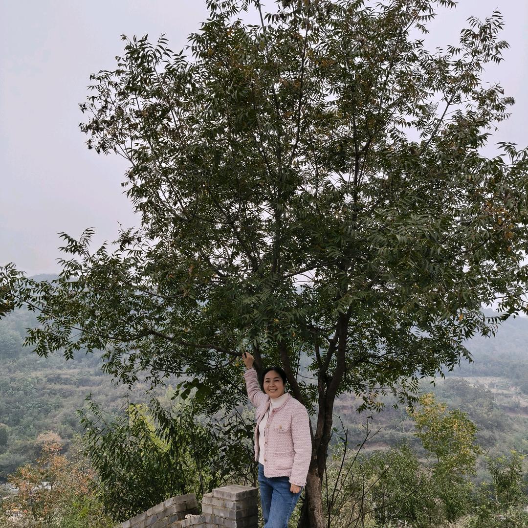 @💖弯弯🌹🍓🍎🍉🍒🍇