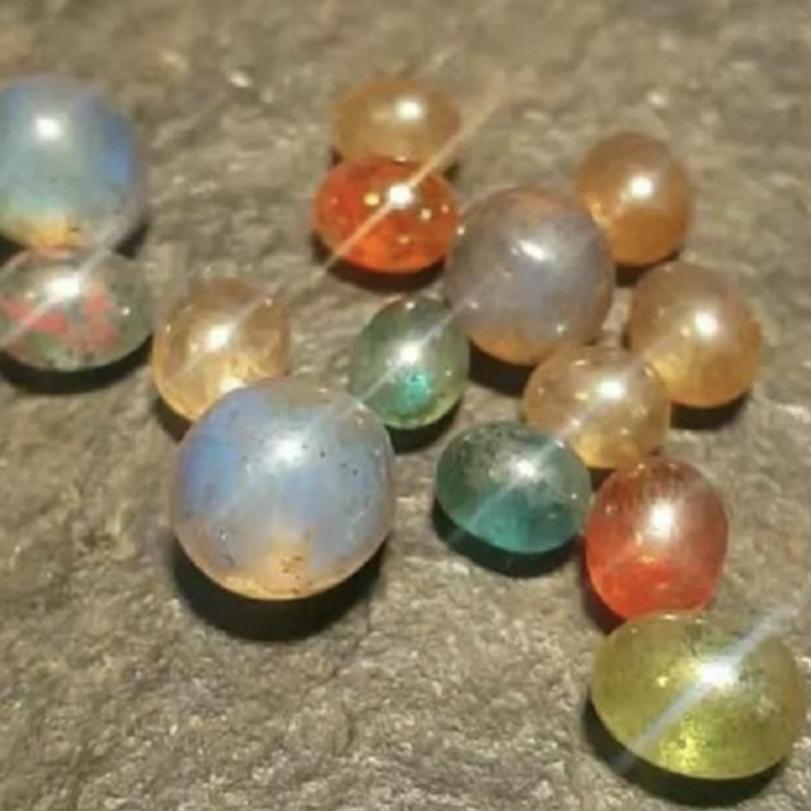 舍利子（破釜沉舟）