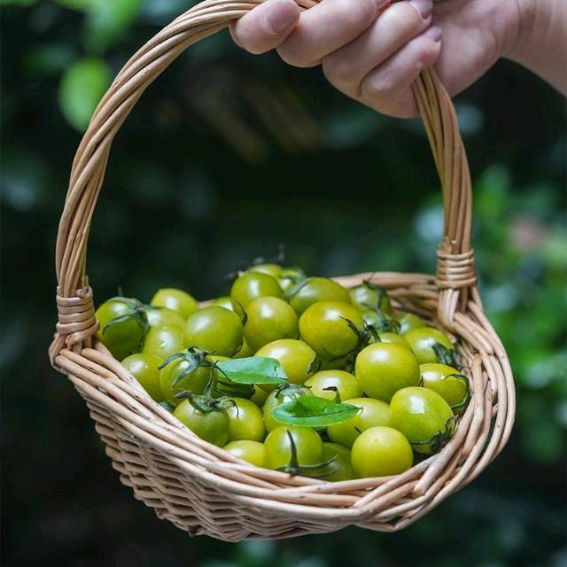 知𝑴𝒚 𝒃𝒃 💞足