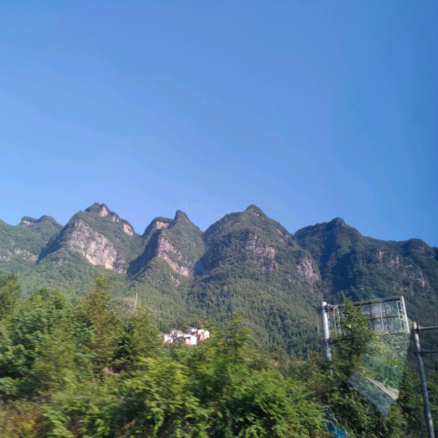 小秋