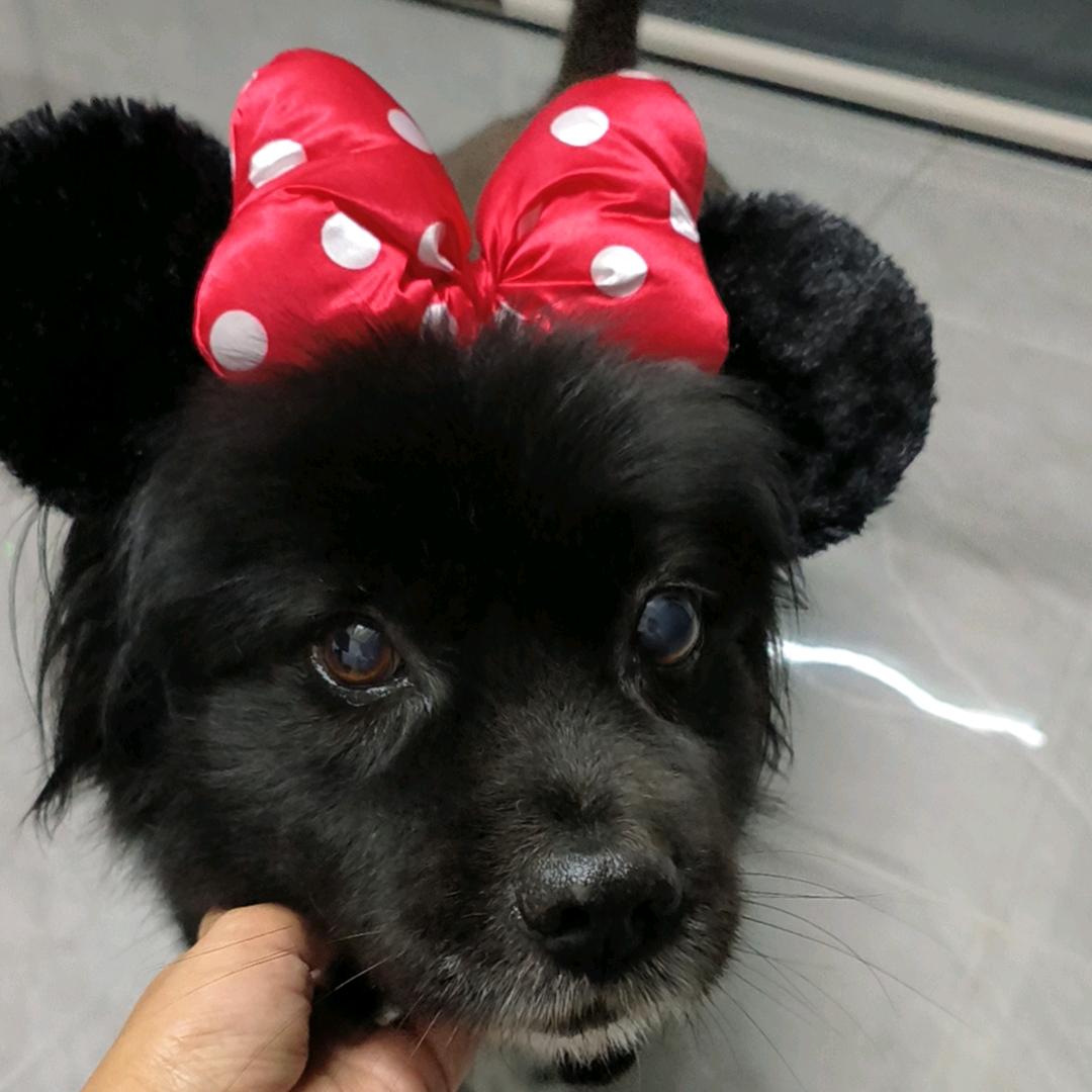 躺平❤牛牛