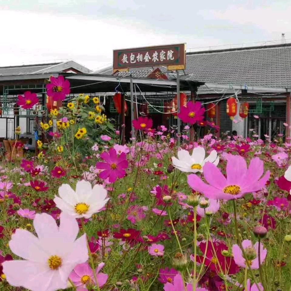 围场御道口敖包相会民宿