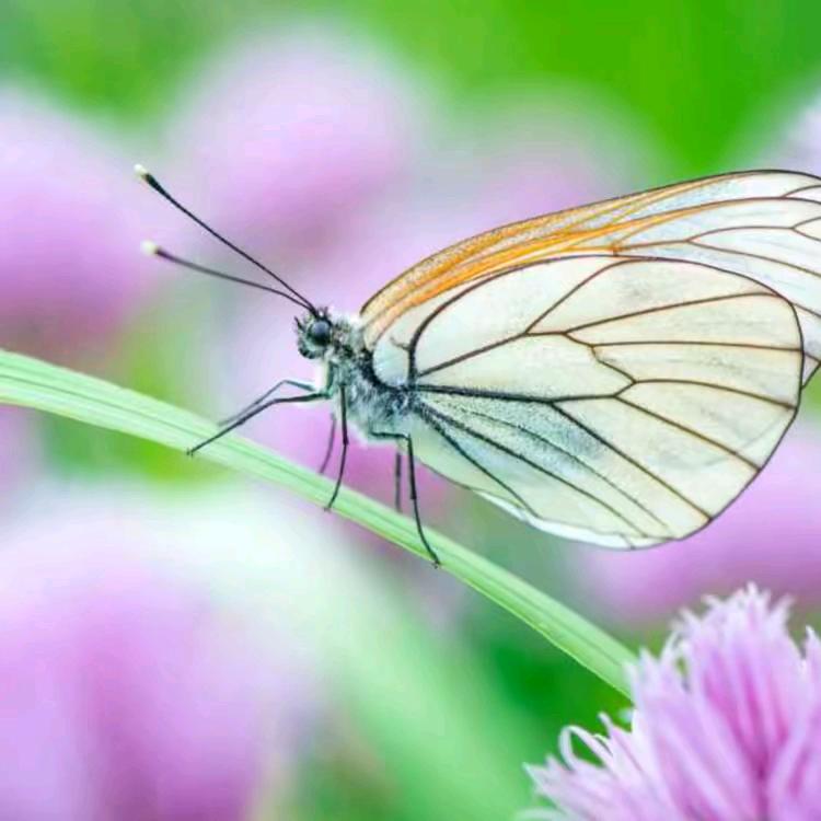 笑着*^O^*过余生