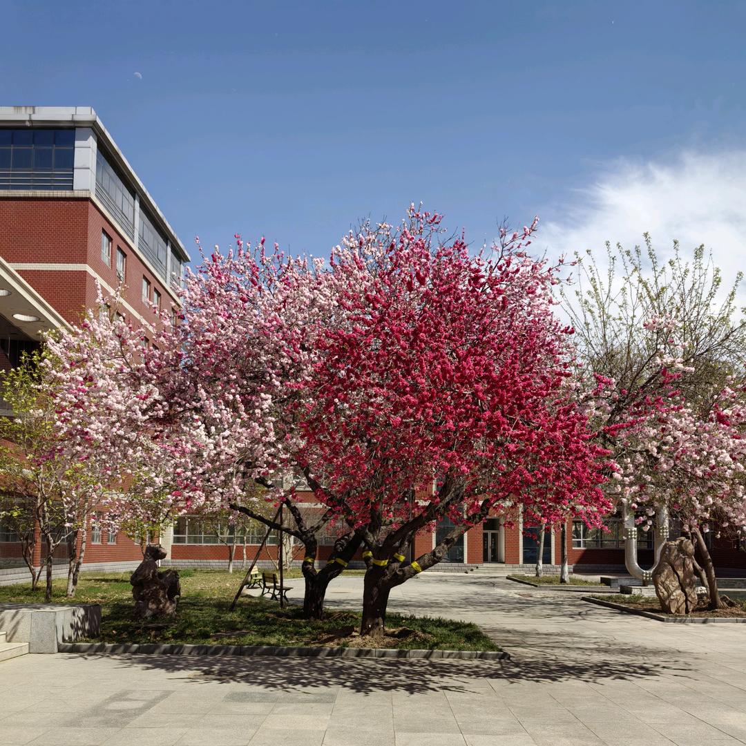 忙里偷闲的金融人