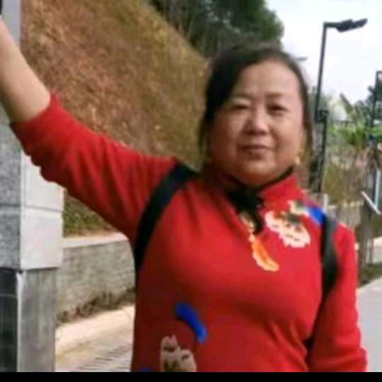 春春（每天中午十一点直播）