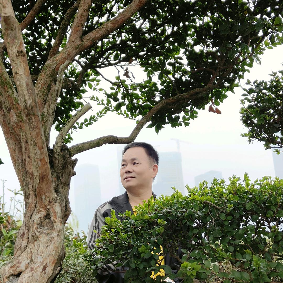 如歌岁月