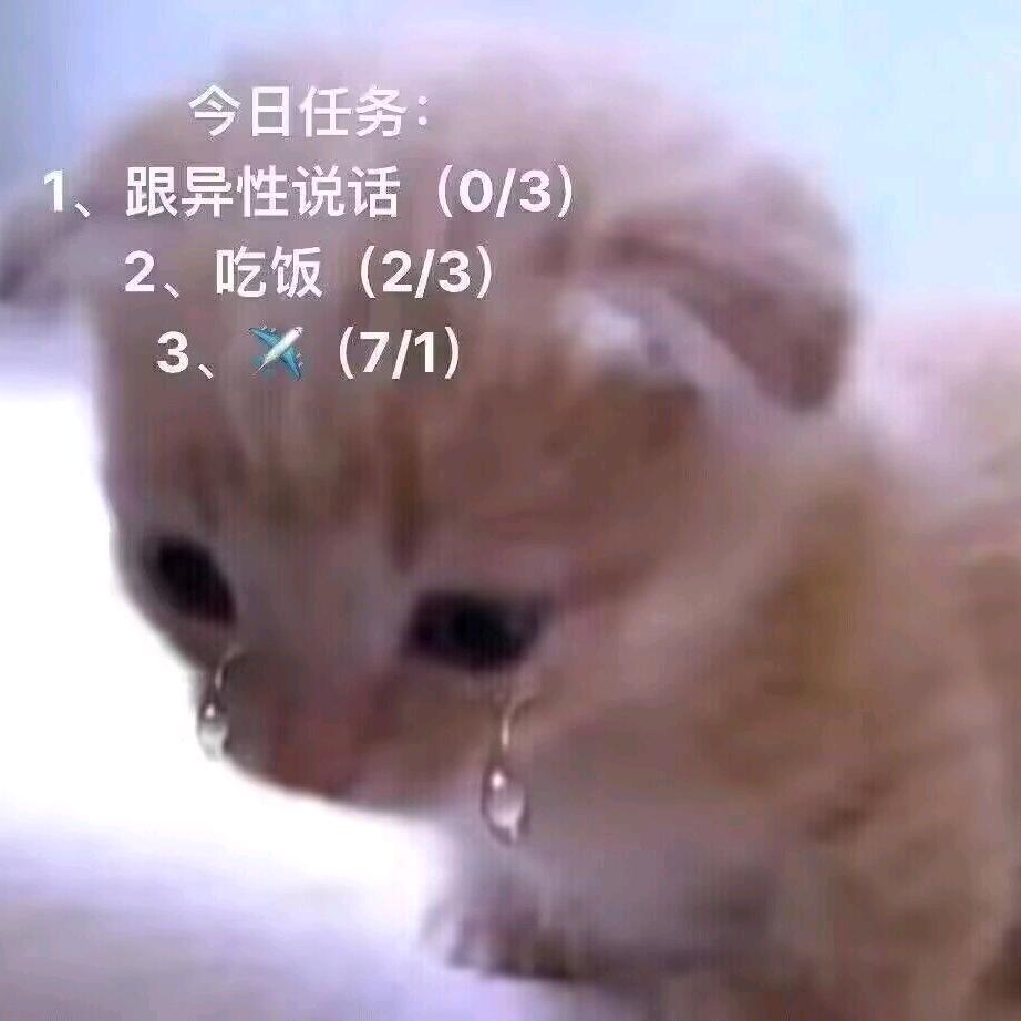 疏梅月影