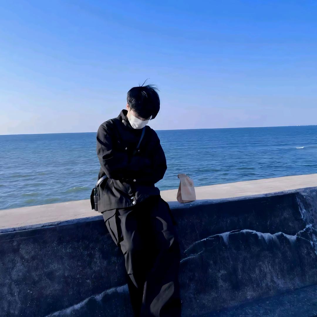 枕书眠.