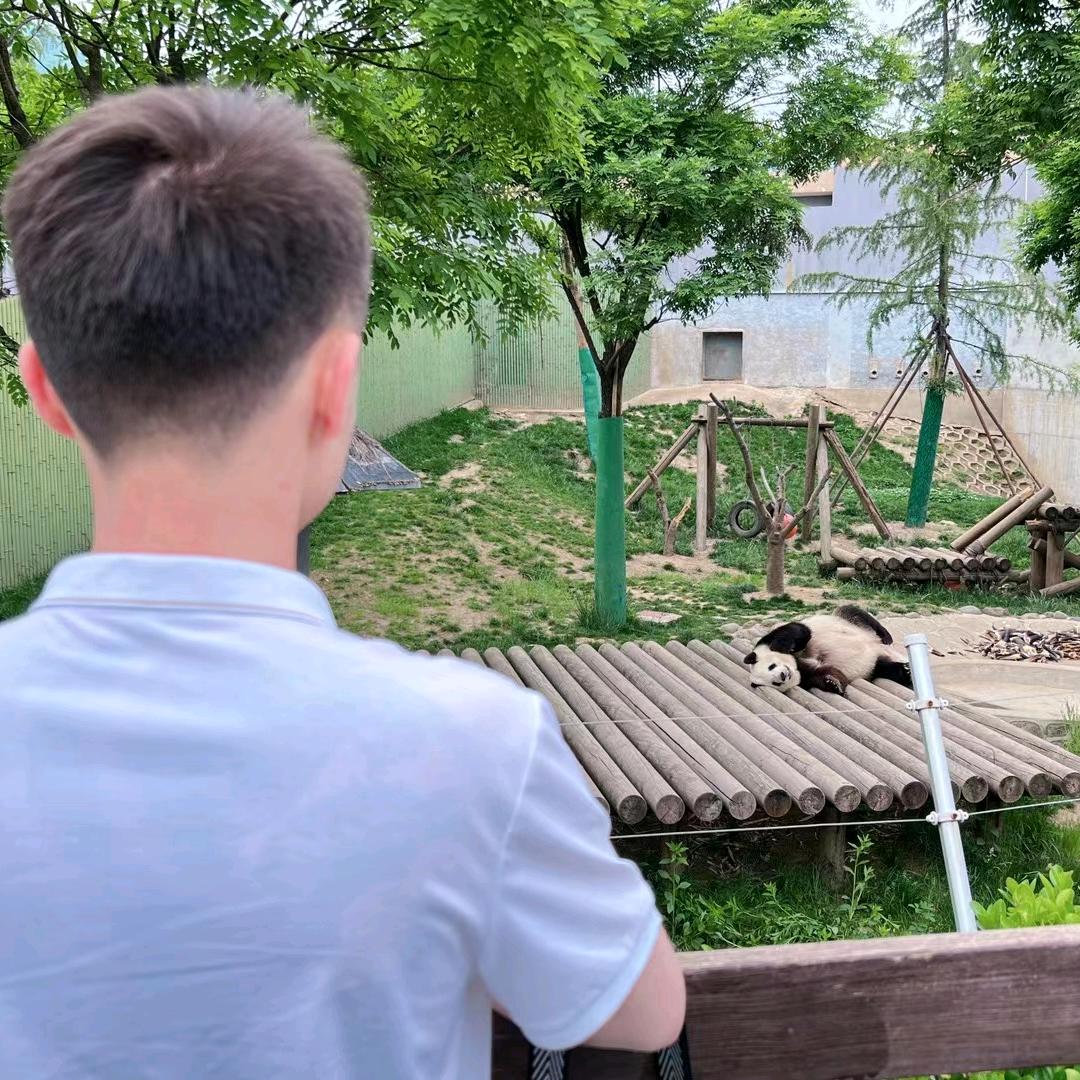 不知名的宠医🐶