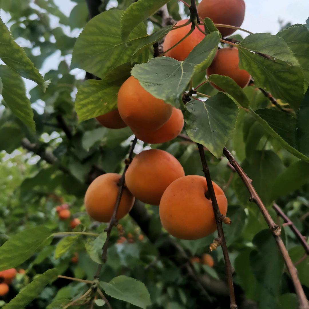 🌈🌈快乐的老杜