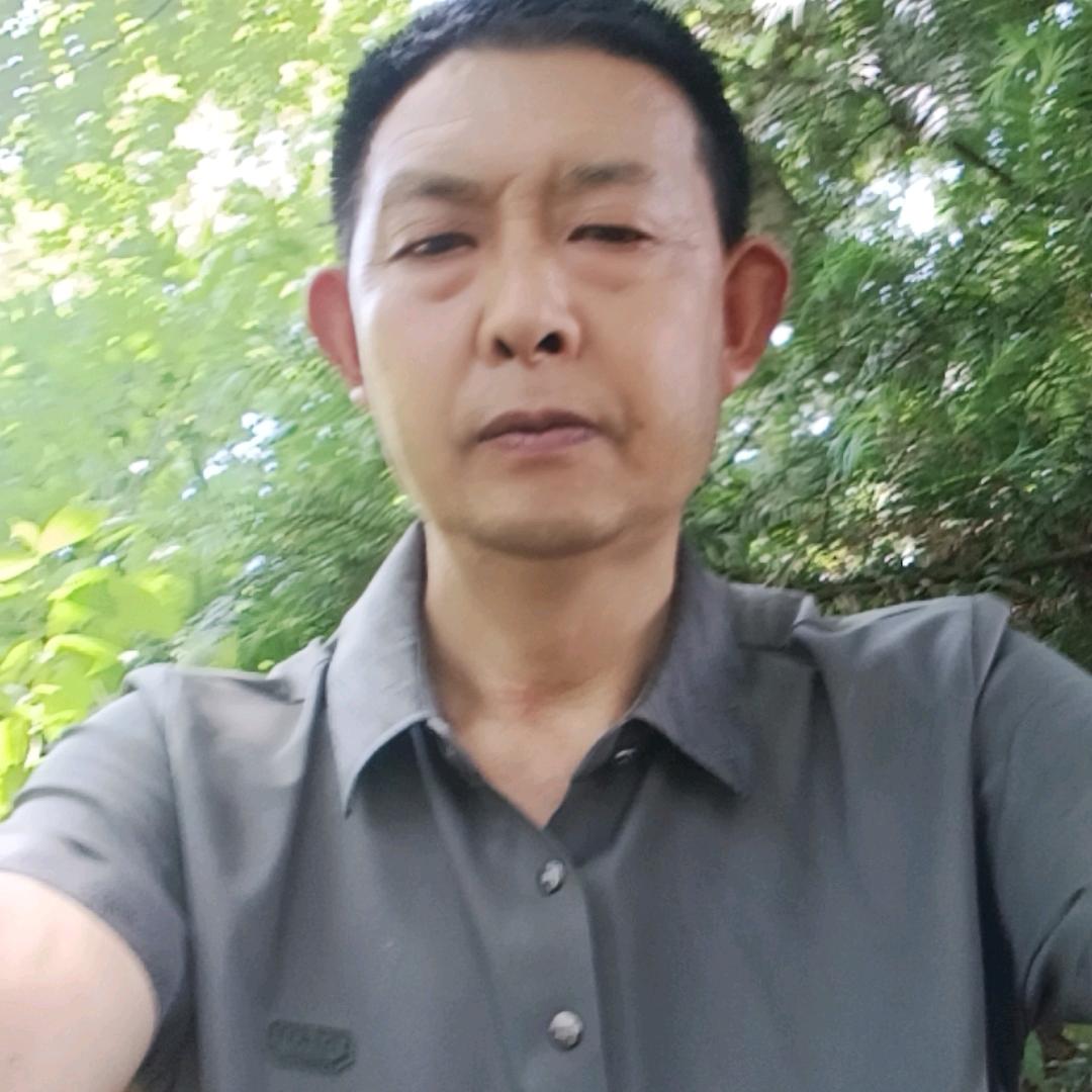 西酉哥