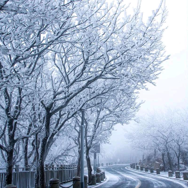 雪人🪽