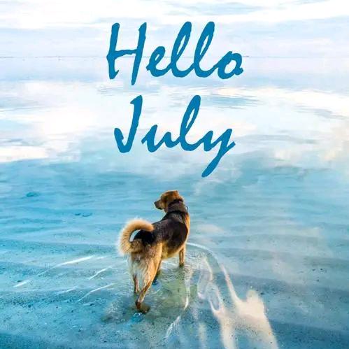 懒羊羊❤️❤️❤️