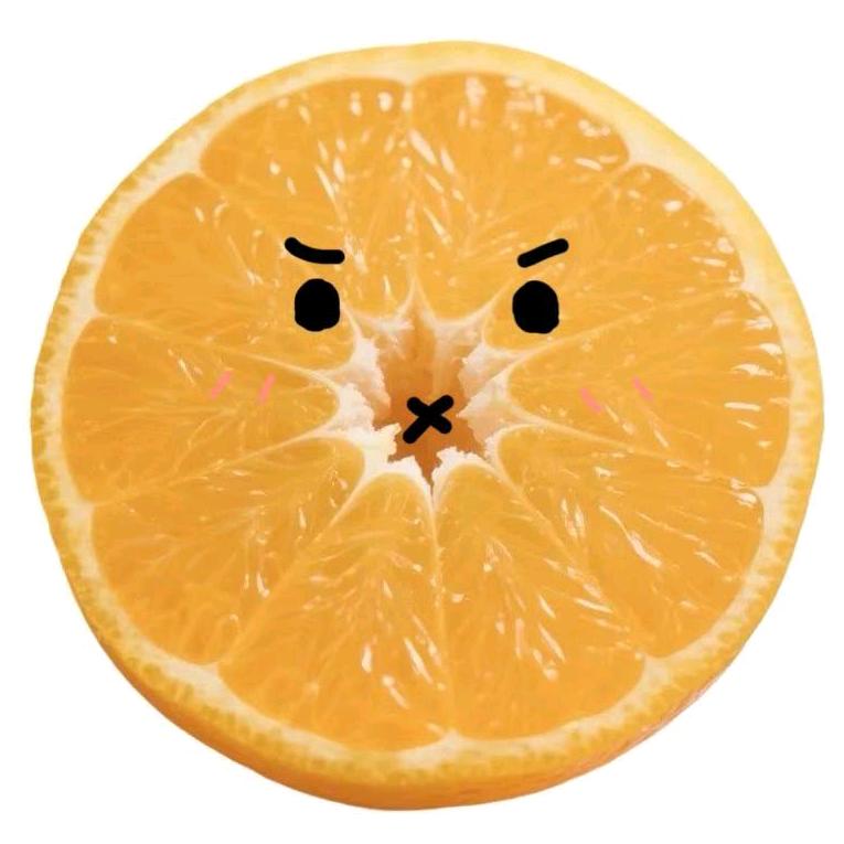 楠子工作室