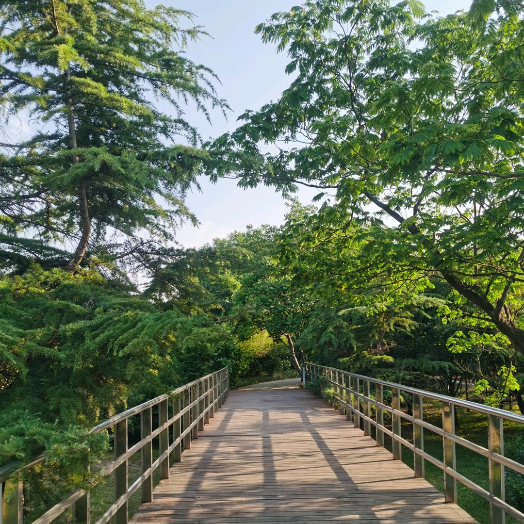 🌾岁月静好🌴