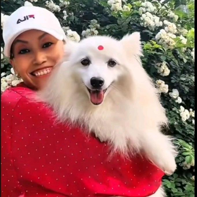 人淡如菊静如涵