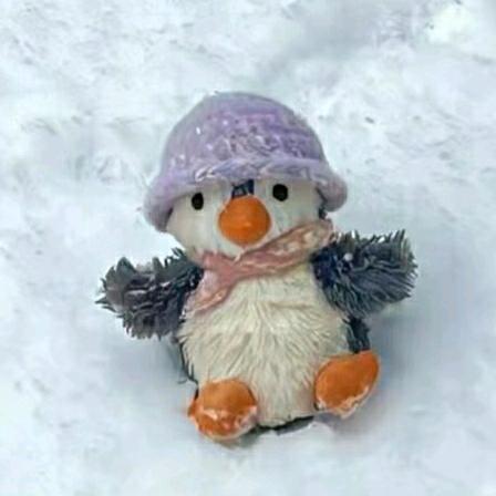 小幸运🐧
