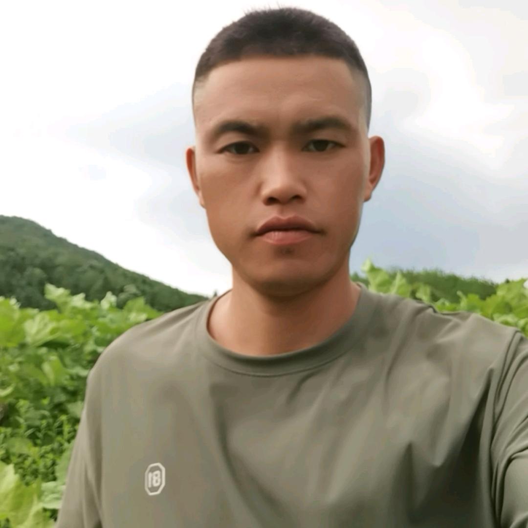 八一