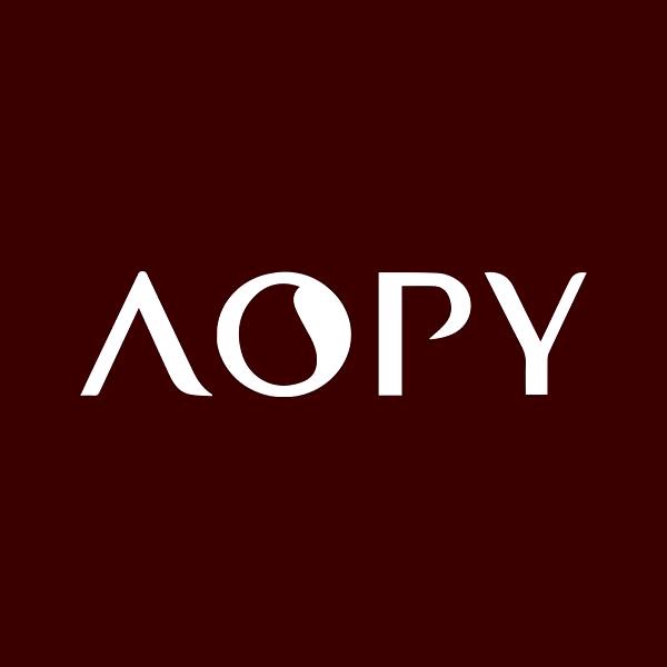 AOPY无限美专卖店研究所