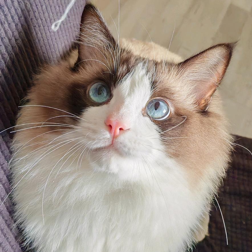 Fatina♡