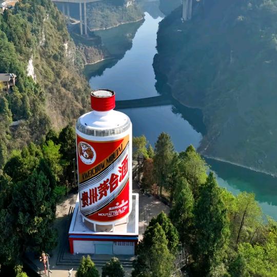 贵州茅台  文先生