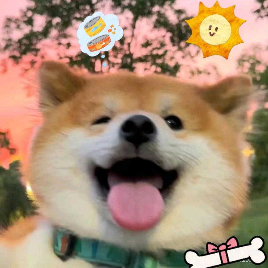 经开区诺琴宠物基地