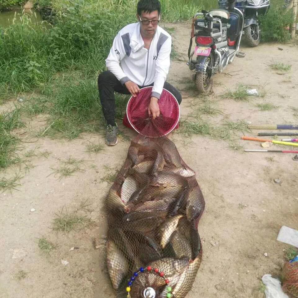 天津大磊黑坑