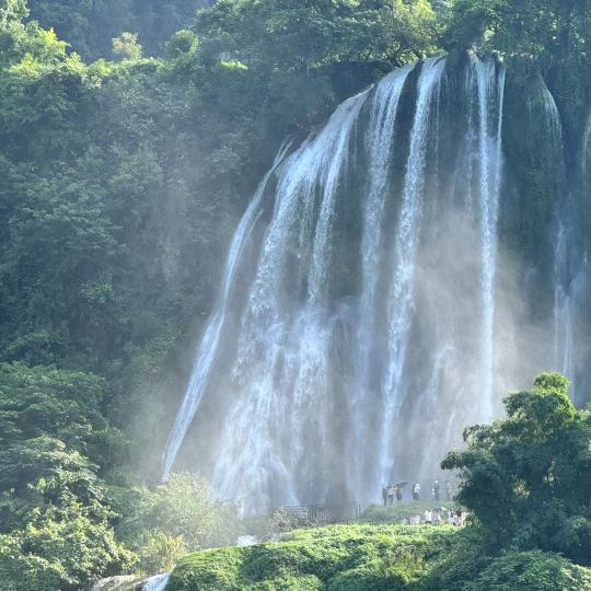 牛不怕累、怕伤