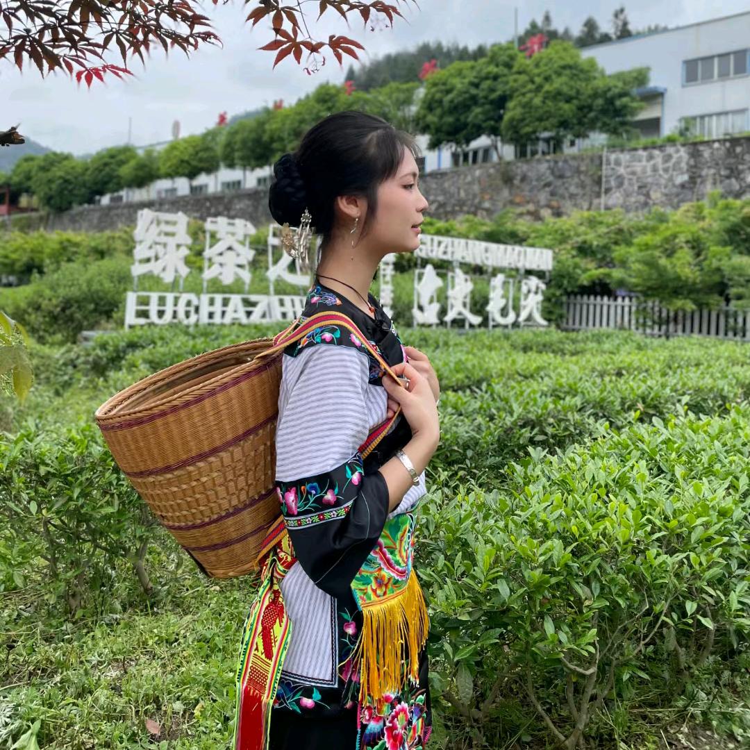 茶乡小阿妹