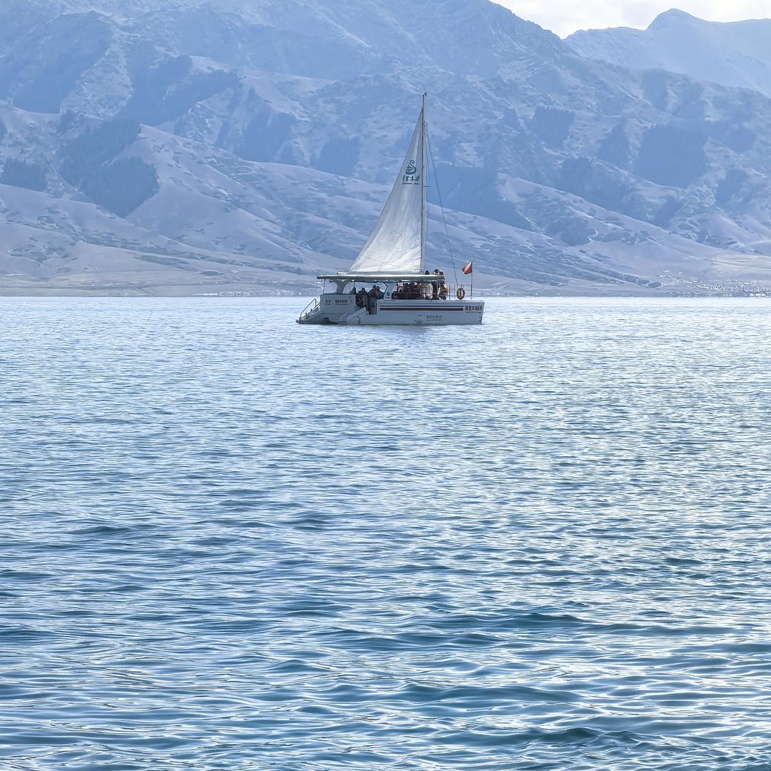 银田商贸：收购各阶段中大猪标猪