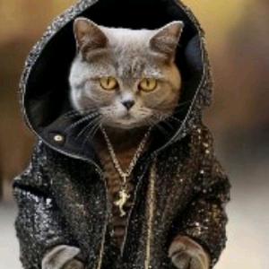 (◕ܫ◕)🎖十八