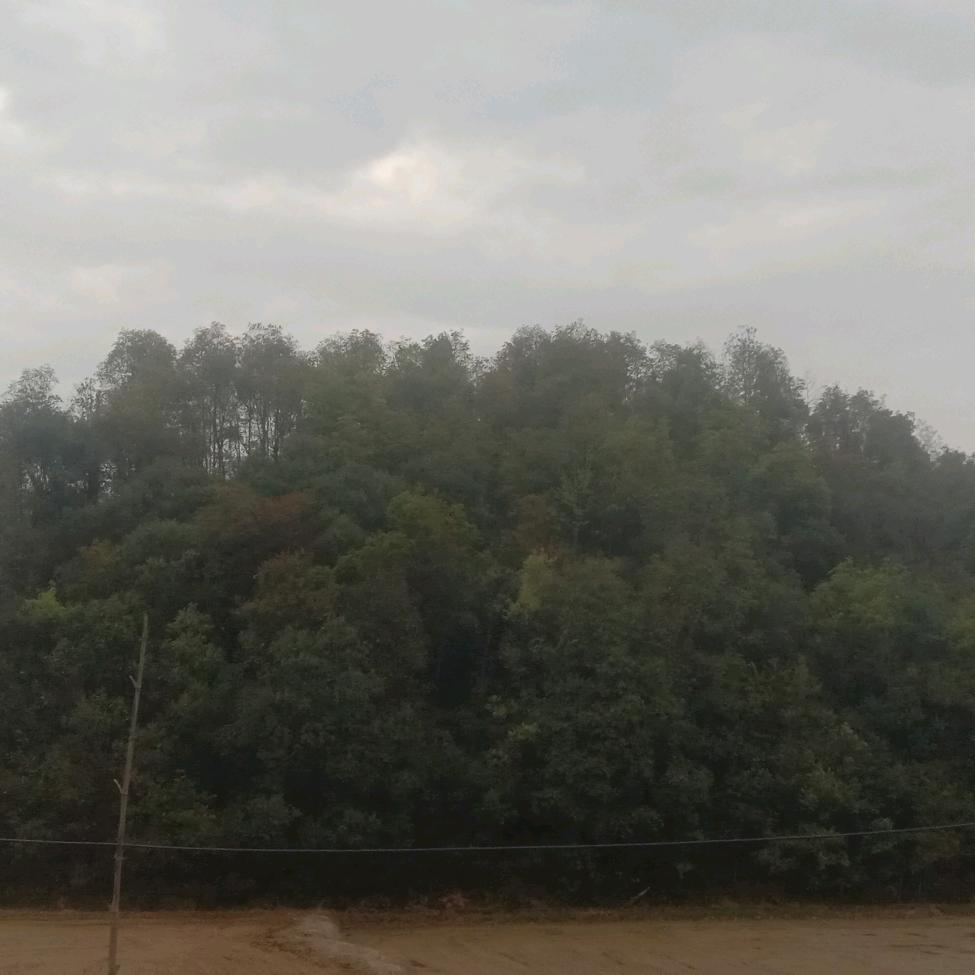 美好生活靠自己