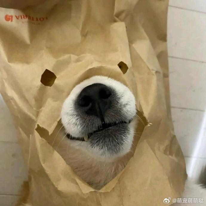 🌈撒拉嘿耶