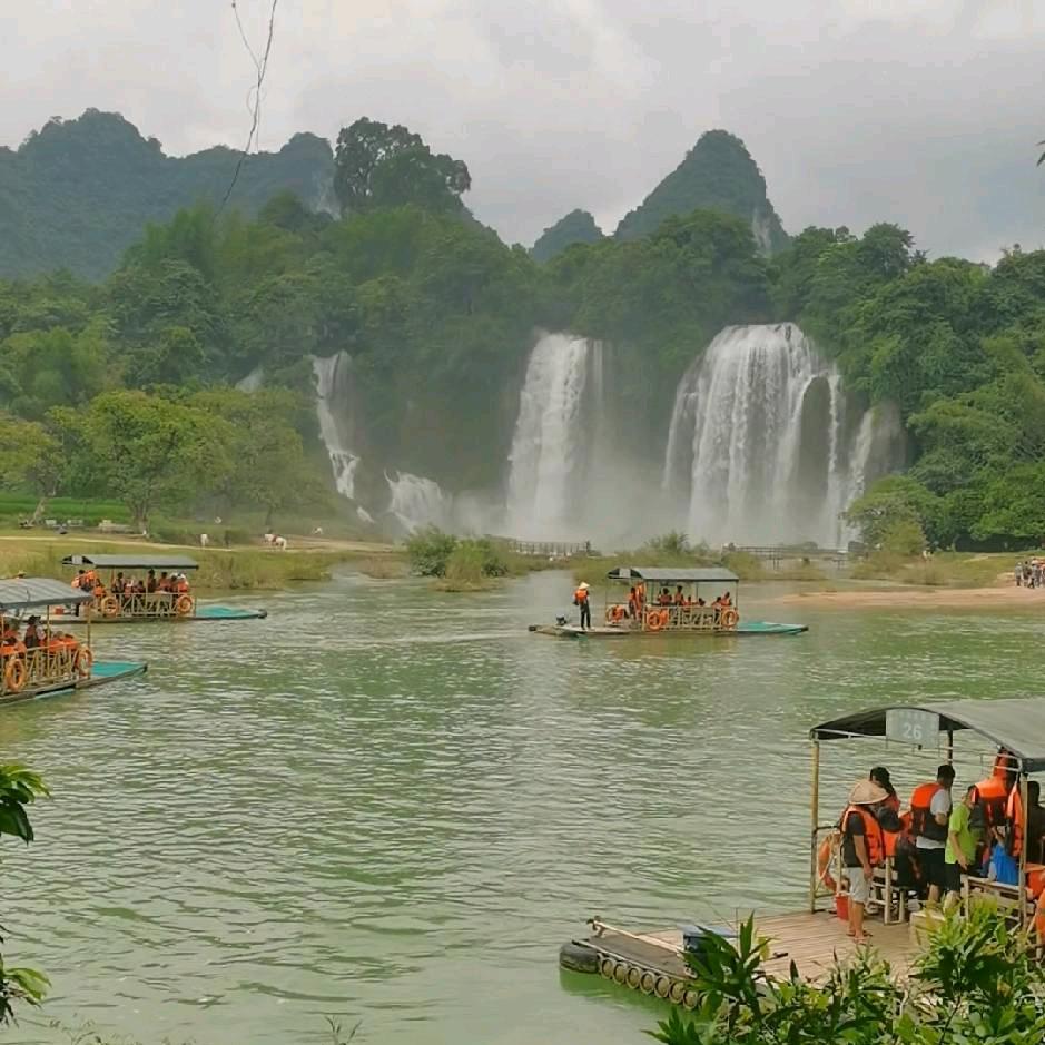 天枢~华东社区~王定杰~高桂花