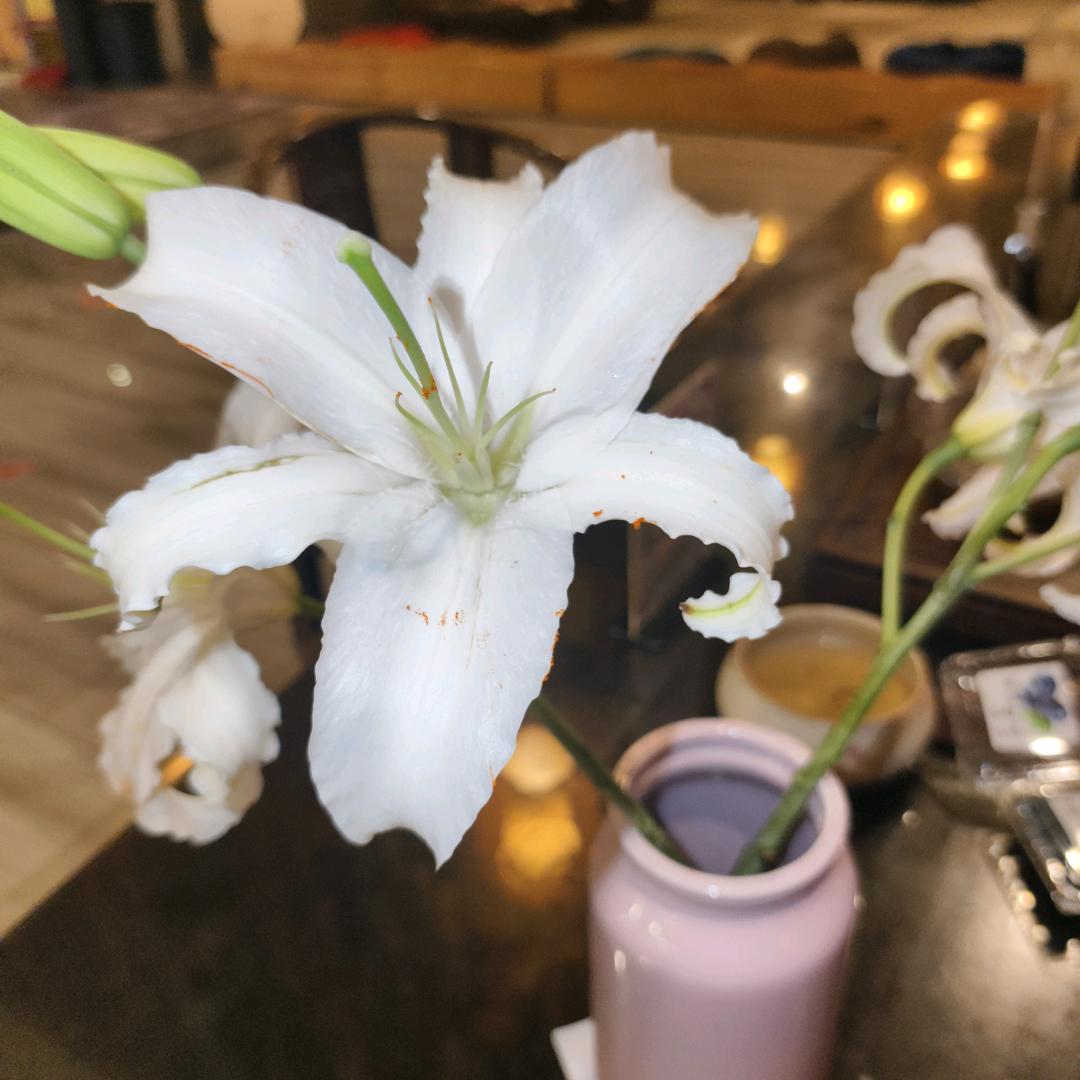 珍珠奶茶