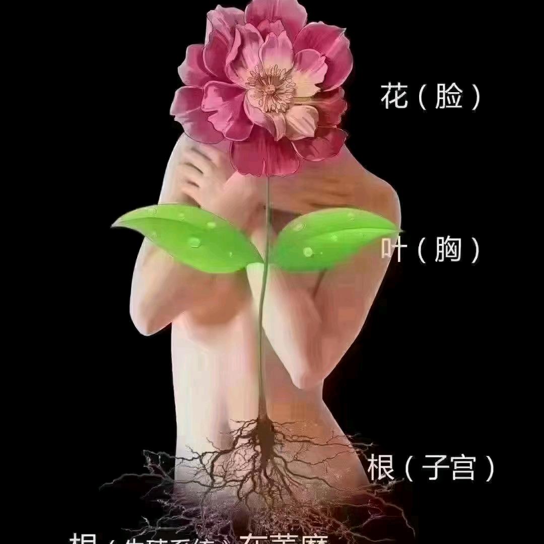 热麦依衣