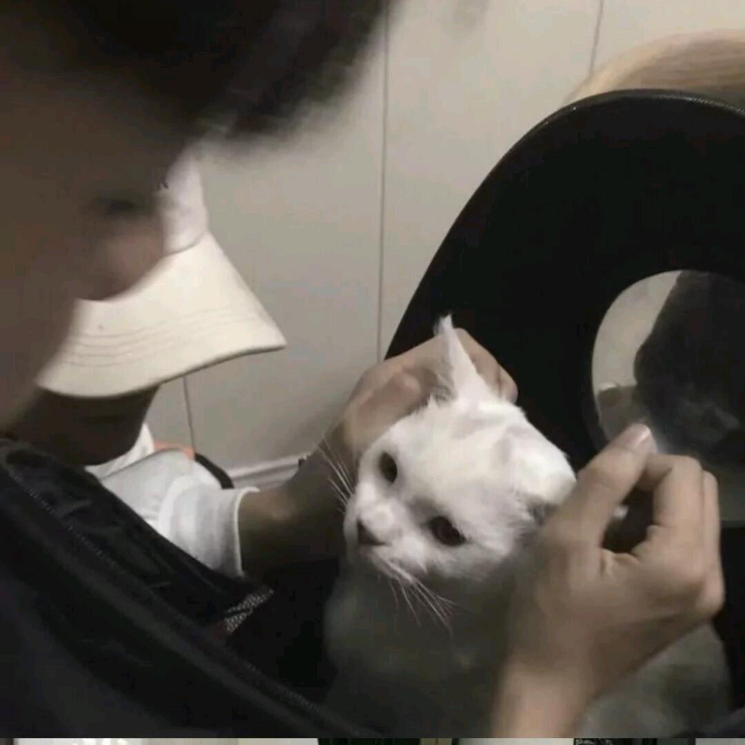 叶湘伦