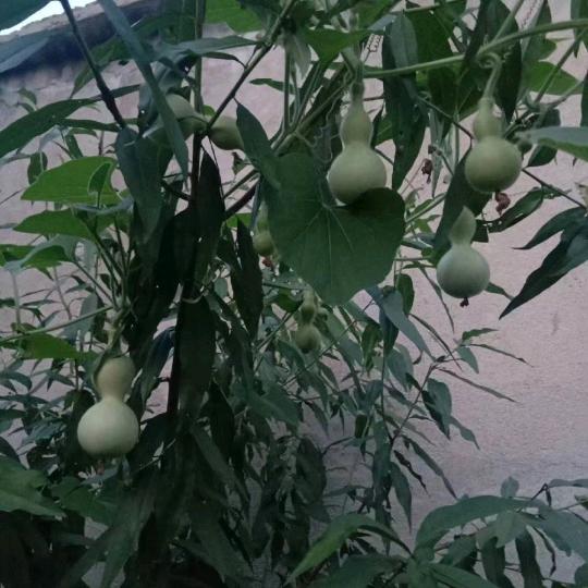 地天泰环境能量
