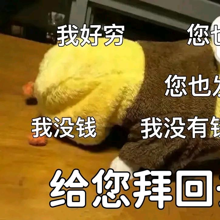 炎曦风吟