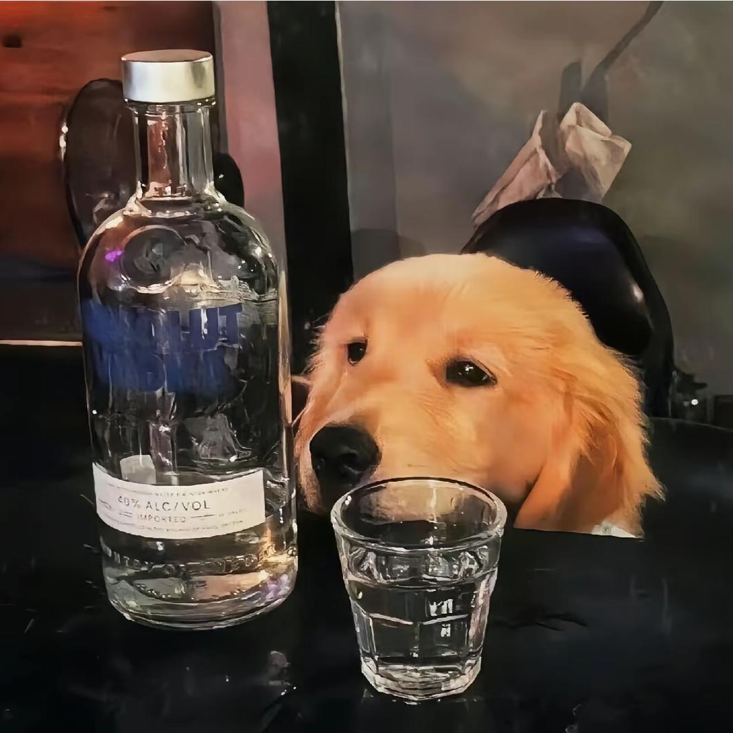 我想要两颗西柚