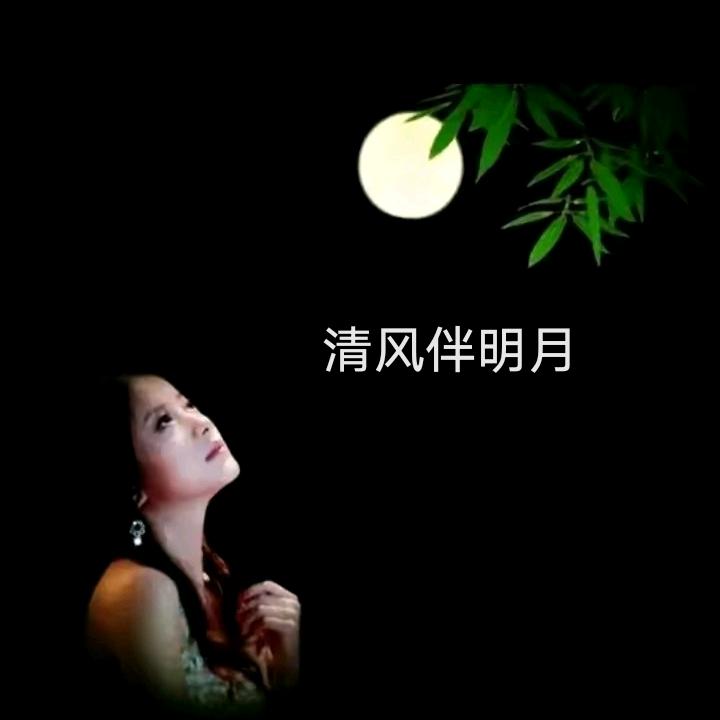 清风伴明月🌙
